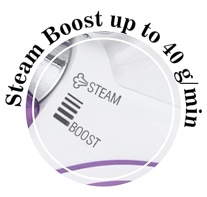 Havells Plastic Husky 2200 W Steam Iron With Auto Shut Off, Steam Boost, Vertical, Horizontal Ironing, Anti Drip, Self-Cleaning & Anti Calc Technology. (Purple), 2200 Watt - ATC Electronics